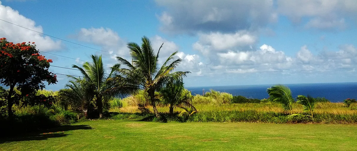 Green country lawn with coconut palms and the ocean beyond in Haʻikū, Maui